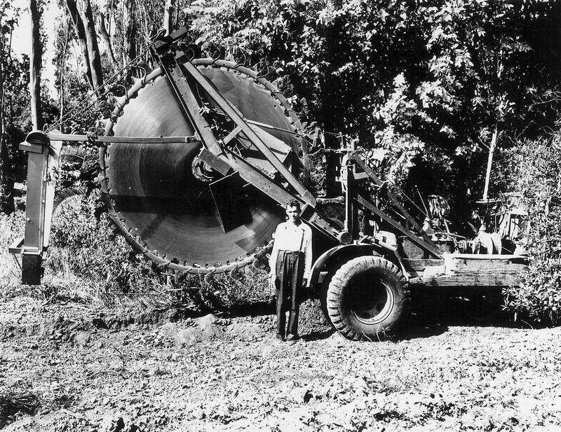 Illustration for article titled Photos of Orange County, Calif., When Oranges Actually Grew There